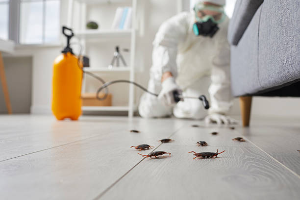 Commercial Kitchen Cockroach Control in Wellton